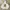 Nasty Fancy Club Streetwear Skater Hoody Pria white photo 1
