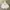 Nasty Fancy Club Streetwear Skater Hoody Pria white photo 2