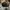 New Era Casual Hat Pria black photo 4