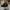 New Era Casual Hat Pria black photo 2