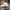 New Era Casual Hat Pria white photo 2