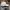 New Era Casual Hat Pria white photo 4