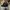 New Era Casual Hat Pria black photo 2