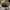 New Era Casual Hat Pria navy black photo 4