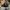 New Era Casual Hat Pria navy black photo 2