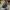 New Era Casual Hat Pria navy black photo 1