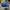 Casual Hat Pria blue photo 4