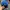 Casual Hat Pria blue photo 3