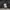 RAGEBLUE Streetwear Minimalist Fleece Pria white black photo 3
