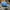 Casual Hat Pria blue photo 4