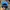 Casual Hat Pria blue photo 3