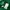 New Era Minimalist T-shirt Pria green photo 4
