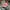 Polo Ralph Lauren Casual Hat Wanita pink photo 1