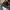 New Era Casual Hat Pria navy photo 7