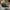 New Era Casual Hat Pria navy photo 4