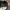 New Era Casual Hat Pria navy photo 8