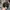 New Era Casual Hat Pria black photo 3