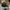 New Era Casual Hat Pria navy photo 4