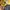 Casual Hat Pria yellow photo 6
