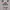 Adidas Sportswear T-shirt Pria gray photo 4