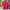 Adidas Sportswear Jersey Pria red photo 1