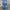 Vintage Casual Jeans Pria navy photo 4