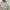 Streetwear Reworked Hoody Pria tan gray photo 3