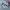 New Balance Sportswear Casual Sneakers Pria white black photo 1