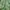 Levi's Casual Crop top Wanita green photo 2