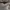 National Geographic Casual Sweater Pria gray photo 6