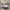 Adidas Casual Sneakers Wanita white photo 1