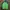 Sportswear Casual Track jacket Pria green photo 1