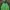 Sportswear Casual Track jacket Pria green photo 3