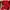 Miki House Vintage Sweatshirt Pria red photo 5