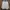 Casual Track Jacket Pria White