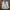 Casual Track jacket Pria white photo 6