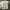 Japanese brand Vintage Y2K T-shirt Pria white photo 1
