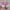 Adidas Casual Sneakers Wanita pink photo 4