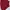 Coquette Mini skirt Wanita red photo 1