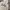 GAP Casual Hoody Pria gray photo 2