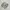 New Balance Sportswear Casual Sneakers Wanita green photo 1