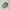 New Balance Sportswear Casual Sneakers Wanita green photo 3