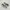 New Balance Casual Sneakers Pria multicolor green photo 1