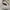 Polo Ralph Lauren Streetwear Casual Fleece Pria white photo 3