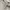 Polo Ralph Lauren Streetwear Casual Fleece Pria white photo 5