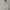 Polo Ralph Lauren Streetwear Casual Fleece Pria white photo 2