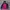Sportswear Windbreaker Wanita purple pink photo 1