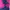 Sportswear Windbreaker Wanita purple pink photo 2