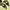 Miu Miu Y2K Heels Wanita blue photo 1