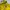 Vintage Windbreaker Pria gold yellow photo 6